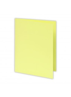 CHEMISE BRISTOL COULEUR PASTELS 180G PAQUET DE 100 RIBAT - 2