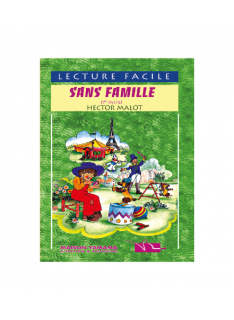 SANS FAMILLE (1ERE PARTIE) - COLLECTION LECTURE FACILE - 1