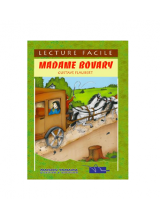 MADAME BOUVARY - COLLECTION LECTURE FACILE - 1