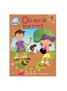 OU EST LE BALLON ? – BOULE DE NEIGE N8 - 1