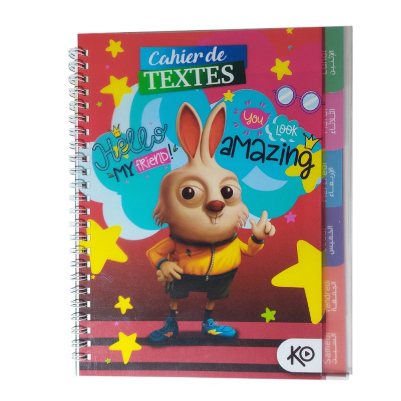 CAHIER DE TEXTE FANTAISIE ALADIN/KO - 1