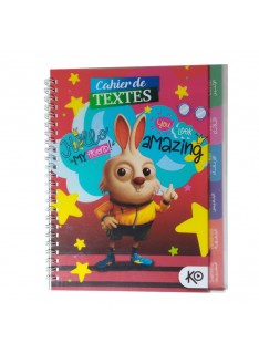 CAHIER DE TEXTE FANTAISIE ALADIN/KO - 1