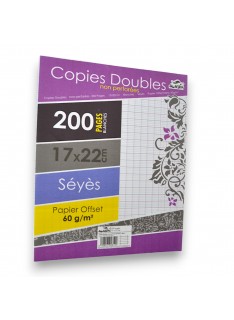 DOUBLE FEUILLE 200PAGES PETIT MODELE ALADIN - 1