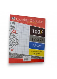 DOUBLE FEUILLE 100PAGES PETIT MODELE ALADIN - 1