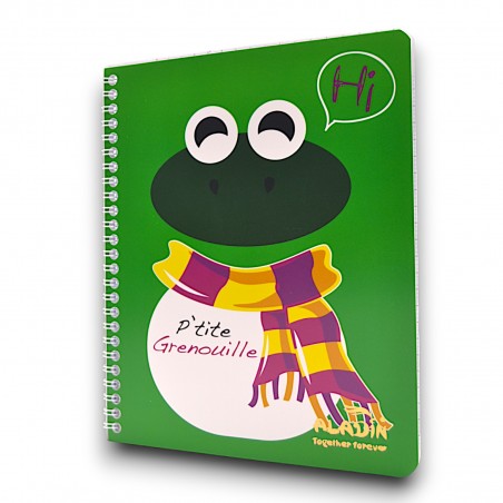 CAHIER INTEGRAL 100PAGES PETIT MODELE 80G FANTAISIE ALADIN - 1