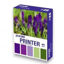 RAME PAPIER A4 EXTRA BLANC PURPLE 80G - 1