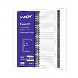 INTERCALAIRE DE 31 PLASTIQUE PURPLE - 1