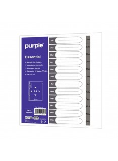 INTERCALAIRE MENSUEL PLASTIQUE PURPLE - 1