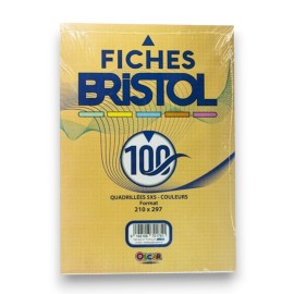 FICHE BRISTOL COULEUR A4 GRAND MODELE OSCAR - 1