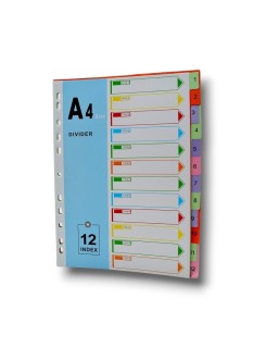 INTERCALAIRE DE 12 CARTON - 2